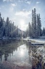 Зимний ледяной пейзаж, Изумрудное озеро, Национальный парк Банф, Альберта, Канада — стоковое фото