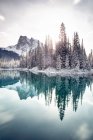 Reflexionen von Wäldern und Bergen im Emerald Lake, Banff National Park, Alberta, Kanada — Stockfoto