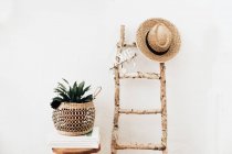 Plantez dans un porte-macramé sur un tabouret en bois à côté d'une échelle — Photo de stock