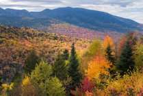 White Mountain National Forest, Lincoln, New Hampshire, USA — Stock Photo