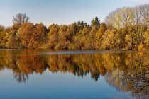 Lac boisé en automne, Frise orientale, Basse-Saxe, Allemagne — Photo de stock