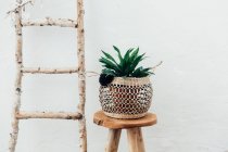 Planta en un macramé sobre un taburete de madera junto a una escalera - foto de stock
