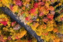 Veduta aerea di una strada attraverso la foresta nazionale White Mountain, Lincoln, New Hampshire, Stati Uniti — Foto stock