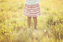 Menina de pé em um prado no verão, Estados Unidos — Fotografia de Stock
