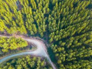 Aerial view of a road through an alpine forest, Mount Buffalo National Park, Myrtelford, Victoria, Australia — Stock Photo