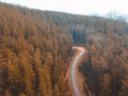 Vue aérienne de la route à travers la forêt — Photo de stock