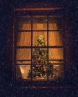 Blick auf einen Weihnachtsbaum durch ein Wohnzimmerfenster — Stockfoto
