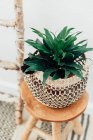 Planta en un macramé sobre un taburete de madera - foto de stock