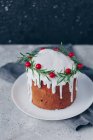 Gâteau de Noël avec des baies et des branches de sapin sur un fond sombre. focus sélectif. — Photo de stock