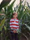 Retrato de un niño sonriente parado en un campo de maíz, Países Bajos - foto de stock