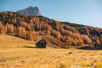 Wooden cabin in Austrian Alps near Filzmoos, Salzburg, Austria — Stock Photo