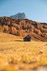 Holzhütte in den österreichischen Alpen bei Filzmoos, Salzburg, Österreich — Stockfoto