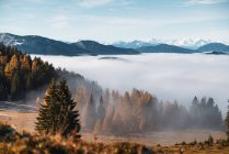 Tapis nuageux au-dessus des Alpes autrichiennes près de Filzmoos, Salzbourg, Autriche — Photo de stock