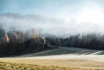 Nuages sur un paysage forestier dans les Alpes autrichiennes, Filzmoos, Salzbourg, Autriche — Photo de stock