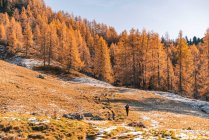 Young woman hiking in colorful autumn landscape in the Austrian Alps — Stock Photo