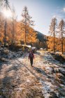 Femme randonnée dans les Alpes autrichiennes près de Filzmoos en automne, Salzbourg, Autriche — Photo de stock