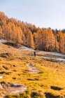Woman hiking in Austrian Alps near Filzmoos in the autumn, Salzburg, Austria — Stock Photo