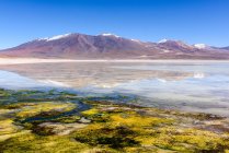 Bergreflexionen in einem See, Altiplano, Bolivien — Stockfoto