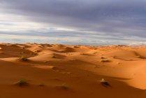 Dunes de sable dans le désert du Sahara, Maroc — Photo de stock