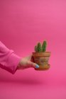 Female hand holding ceramic pot with cactus on pink background — Stock Photo