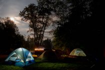 Zelte im Wald, Freizeitgebiet Fort Custer State, Indiana, Vereinigte Staaten — Stockfoto