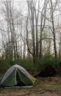 Zelt im Wald, Fort Custer State Recreational Area, Indiana, Vereinigte Staaten — Stockfoto