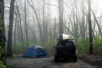 Voiture garée à côté d'une tente dans les bois, Fort Custer State Recreational Area, Indiana, États-Unis — Photo de stock