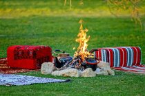 Picnic tent with burning candles and camping tents on green grass — Stock Photo