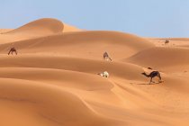 Dunas de arena en el desierto - foto de stock