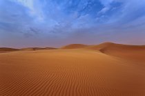 Hermosa vista de dunas, fondo de la naturaleza - foto de stock