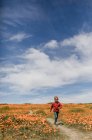 Ragazzo che corre lungo un sentiero attraverso un campo di papaveri, California, Stati Uniti — Foto stock