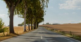 Route à travers le paysage rural, Bad Sachsa, Gottingen, Basse-Saxe, Allemagne — Photo de stock