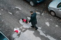 Visão aérea de um homem caminhando seus dois cães, Itália — Fotografia de Stock