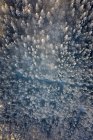 Вид з повітря на вкриті снігом дерева, Гайсберг, Зальцбург, Австрія. — стокове фото