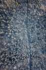 Вид с воздуха на заснеженные деревья, Гайсберг, Зальцбург, Австрия — стоковое фото