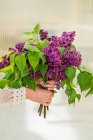Mains féminines tenant bouquet de fleurs lilas — Photo de stock