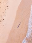 Vue aérienne de l'homme avec surf marchant le long de la treizième plage, Victoria, Australie — Photo de stock