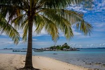 Красивый тропический пляж с пальмами и голубым небом — стоковое фото