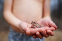 Overhead view of a boy holding a frog, United States — Stock Photo