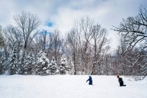 Dois meninos tendo uma luta de bola de neve, Estados Unidos — Fotografia de Stock