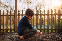 Мальчик сеет семена в саду, США — стоковое фото