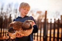 Boy standing in the garden holding a chicken, United States — Stock Photo