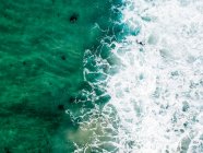 Veduta aerea di un'anatra surfista che si tuffa, Barwon Heads, Bellarine Peninsula, Victoria, Australia — Foto stock