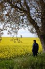 Homem em pé junto a um campo de colza, Niort, Deux-Sevres, Nouvelle-Aquitaine, França — Fotografia de Stock