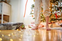 Girl and her cat playing with a cat wand toy at Christmas — Stock Photo