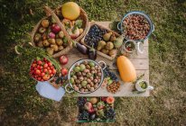 Vista aérea del otoño Arreglo de frutas y verduras en una mesa de jardín, Serbia - foto de stock