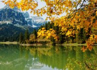 Riflessioni paesaggistiche di montagna in un lago, Svizzera — Foto stock