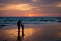 Silhueta de pai e filho de mãos dadas na praia ao pôr do sol, Tarifa, Cádiz, Andaluzia, Espanha — Fotografia de Stock