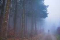 Veduta posteriore di un uomo che cammina lungo un sentiero nella nebbia, Svizzera — Foto stock