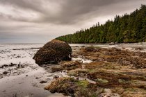 Mystic Beach, Vancouver Island, British Columbia, Canadá — Fotografia de Stock